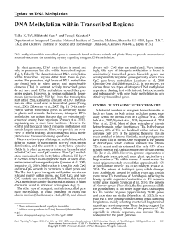 DNA Methylation within Transcribed Regions