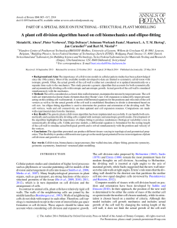 A plant cell division algorithm based on cell