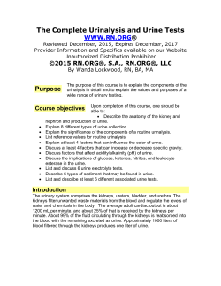 The Complete Urinalysis and Urine Tests