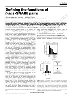 De&reg;ning the functions of trans