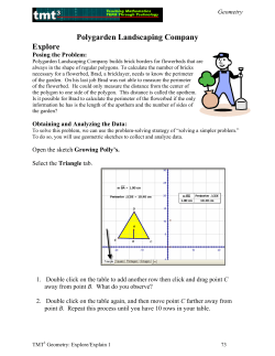 Geometry Explore/Explain 1 Participant Pages