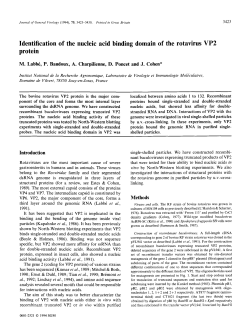 Identification of the nucleic acid binding domain of the rotavirus VP2
