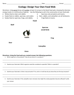 Ecology: Design Your Own Food Web