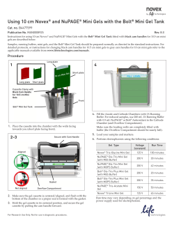 Using 10 cm Novex and NuPAGE Mini Gels with the Bolt Mini Gel Tank