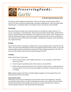 Preserving Garlic - Oregon State University Extension Service
