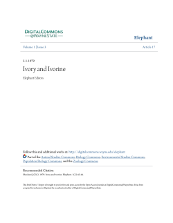 Ivory and Ivorine - Digital Commons@Wayne State University