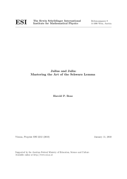 Julius and Julia: Mastering the Art of the Schwarz Lemma