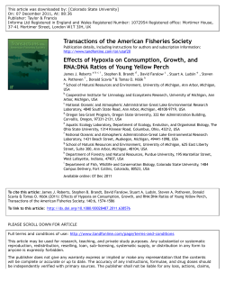 Effects of Hypoxia on Consumption, Growth, and RNA:DNA Ratios of