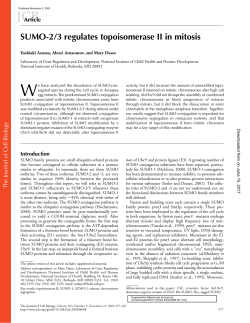 SUMO-2/3 regulates topoisomerase II in mitosis