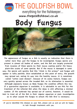 Body Fungus - The Goldfish Bowl