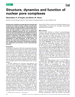 Structure, dynamics and function of nuclear pore