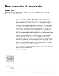Tissue engineering of human bladder