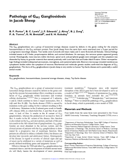 Pathology of GM2 Gangliosidosis in Jacob Sheep