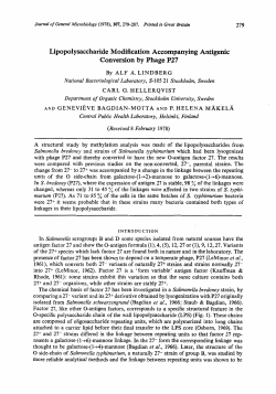 Lipopolysaccharide Modification Accompanying
