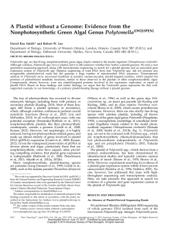 A Plastid without a Genome: Evidence from the Nonphotosynthetic