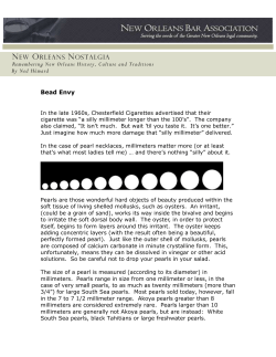 Bead Envy - New Orleans Bar Association