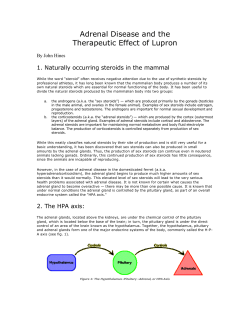 Print  - Ferret Health Care