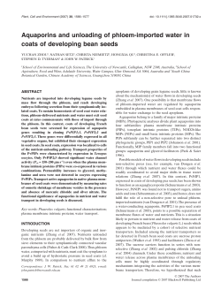 Aquaporins and unloading of phloem