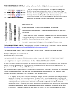 THE CHROMOSOME SHUFFLE Activity by Thomas Mueller