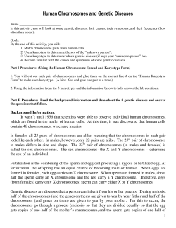 Human Chromosomes and Genetic Diseases