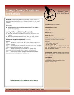 Creepy Crawly Creatures Pre Lesson