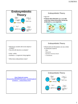 Endosymbiotic Theory