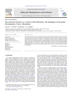 The Lusitania Province as a center of diversification: The phylogeny