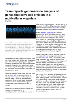 Team reports genome-wide analysis of genes that drive cell division
