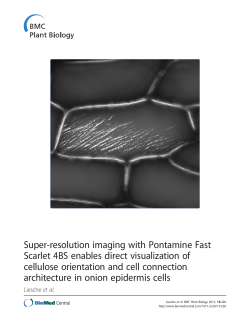 Super-resolution imaging with Pontamine Fast Scarlet 4BS enables