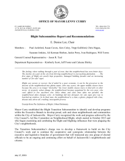 Blight Subcommittee Report and Recommendations E. Denise Lee