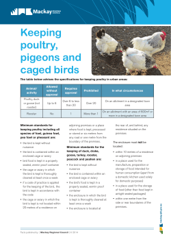 Keeping poultry, pigeons and caged birds
