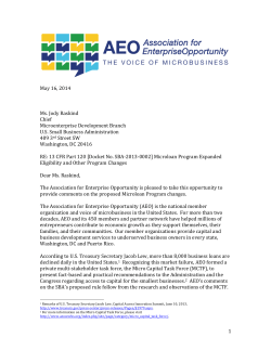 AEO Submits Microloan Program Comments to the Small Business