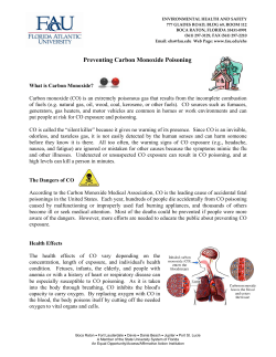 Preventing Carbon Monoxide Poisoning