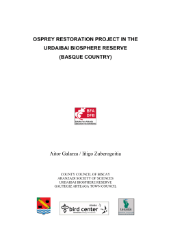 OSPREY RESTORATION PROJECT IN THE URDAIBAI