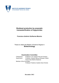 Biodiesel production by enzymatic transesterification of triglycerides
