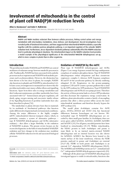 Involvement of mitochondria in the control of plant cell NAD(P)H