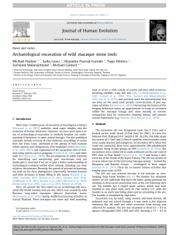Archaeological excavation of wild macaque stone tools