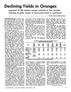 Declining Yields in Oranges