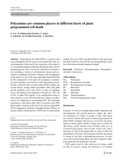 Polyamines are common players in different facets of plant