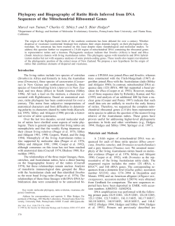 Phylogeny and Biogeography of Ratite Birds Inferred