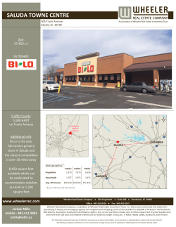 saluda towne centre - Wheeler Real Estate Company