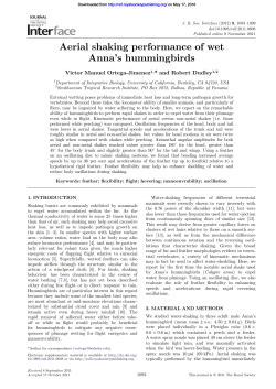 Aerial shaking performance of wet Anna`s hummingbirds