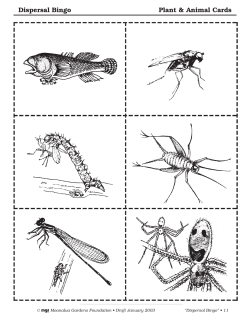 Dispersal Bingo Cards - Moanalua Gardens Foundation