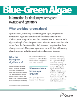 Information for drinking water system owners and operators.
