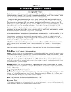 PyramiD of Training &ndash; rhyThm