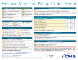 Hospice Medicare Billing Codes Sheet