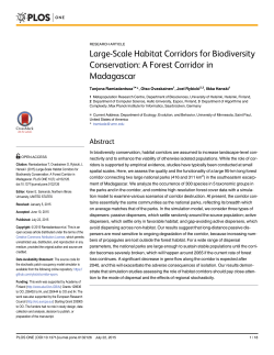 Large-Scale Habitat Corridors for Biodiversity Conservation: A
