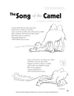 Song Camel - Scholastic