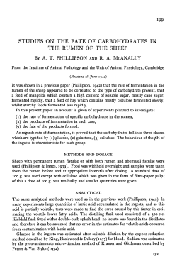 studies on the fate of carbohydrates in the rumen of the sheep