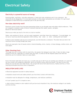 Electrical Safety - Employer Flexible